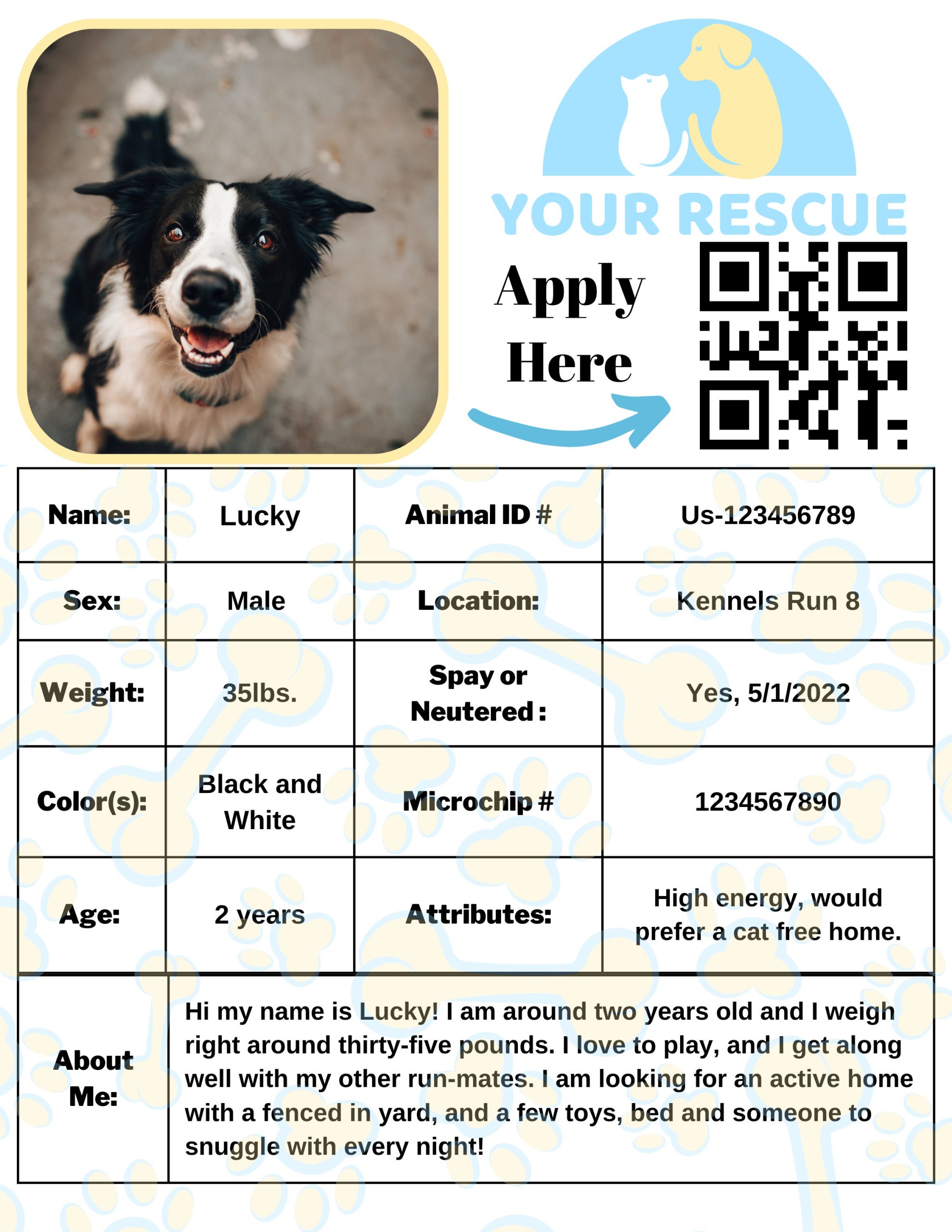 Canva Animal Rescue Printable Kennel Card Animal Shelter Cage Card 