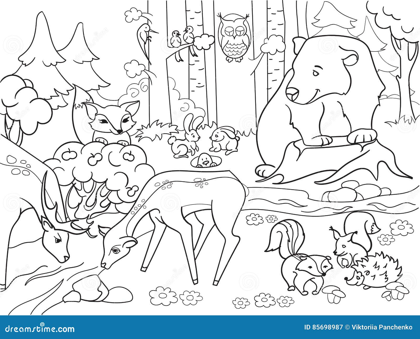 Cartoon Forest Animal Coloring Pages Coloring Pages
