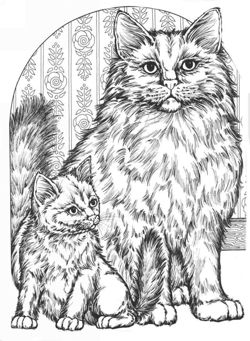 printable coloring cat