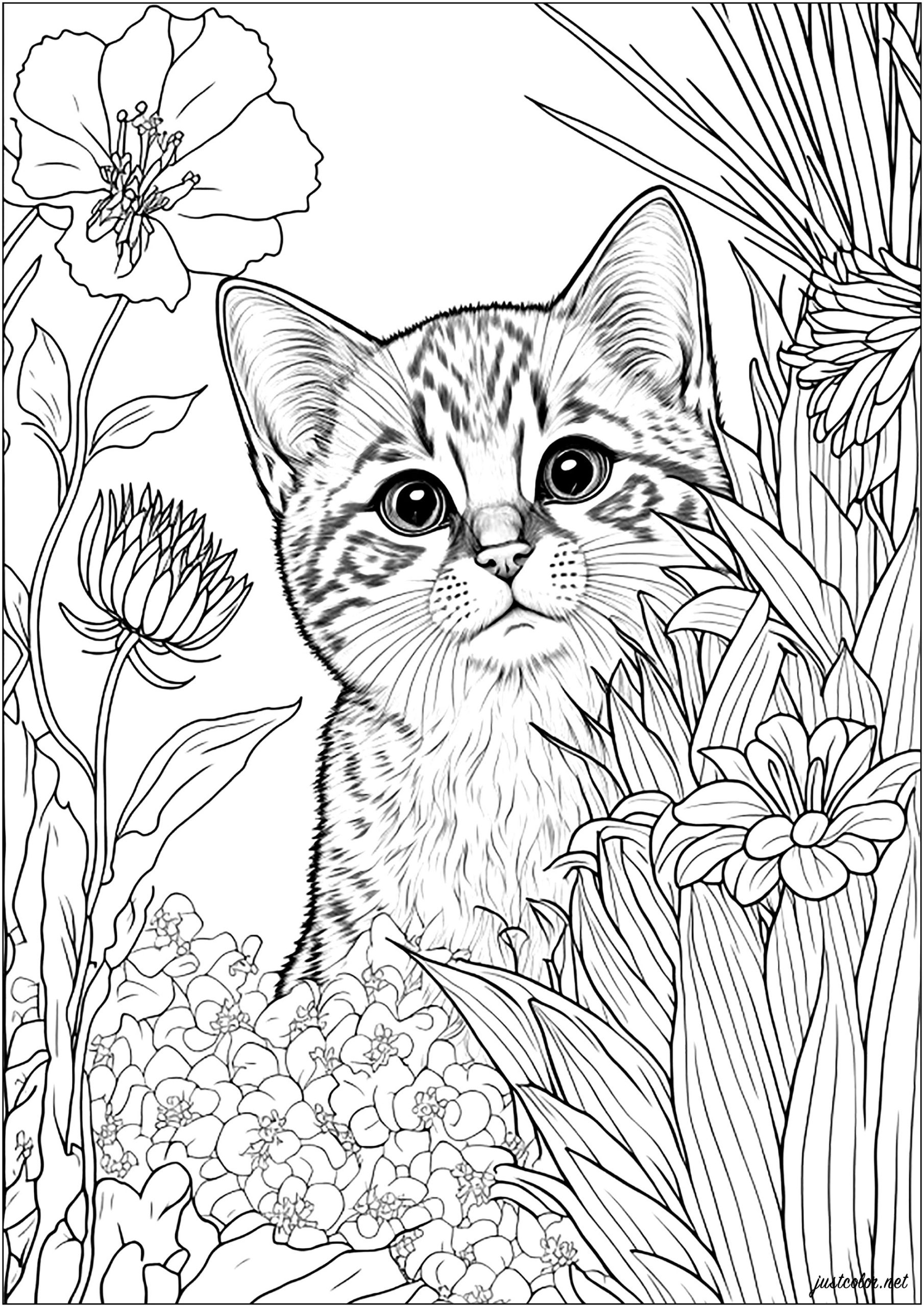 free printable coloring pages for adults by number