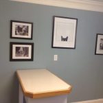 COLLAR CITY ANIMAL HOSPITAL Updated May 2025 11 Photos 499 2nd