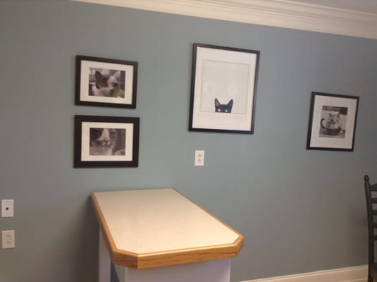 COLLAR CITY ANIMAL HOSPITAL Updated May 2025 11 Photos 499 2nd