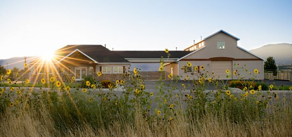 COLOR COUNTRY ANIMAL HOSPITAL Updated April 2025 21 Reviews 390 N 