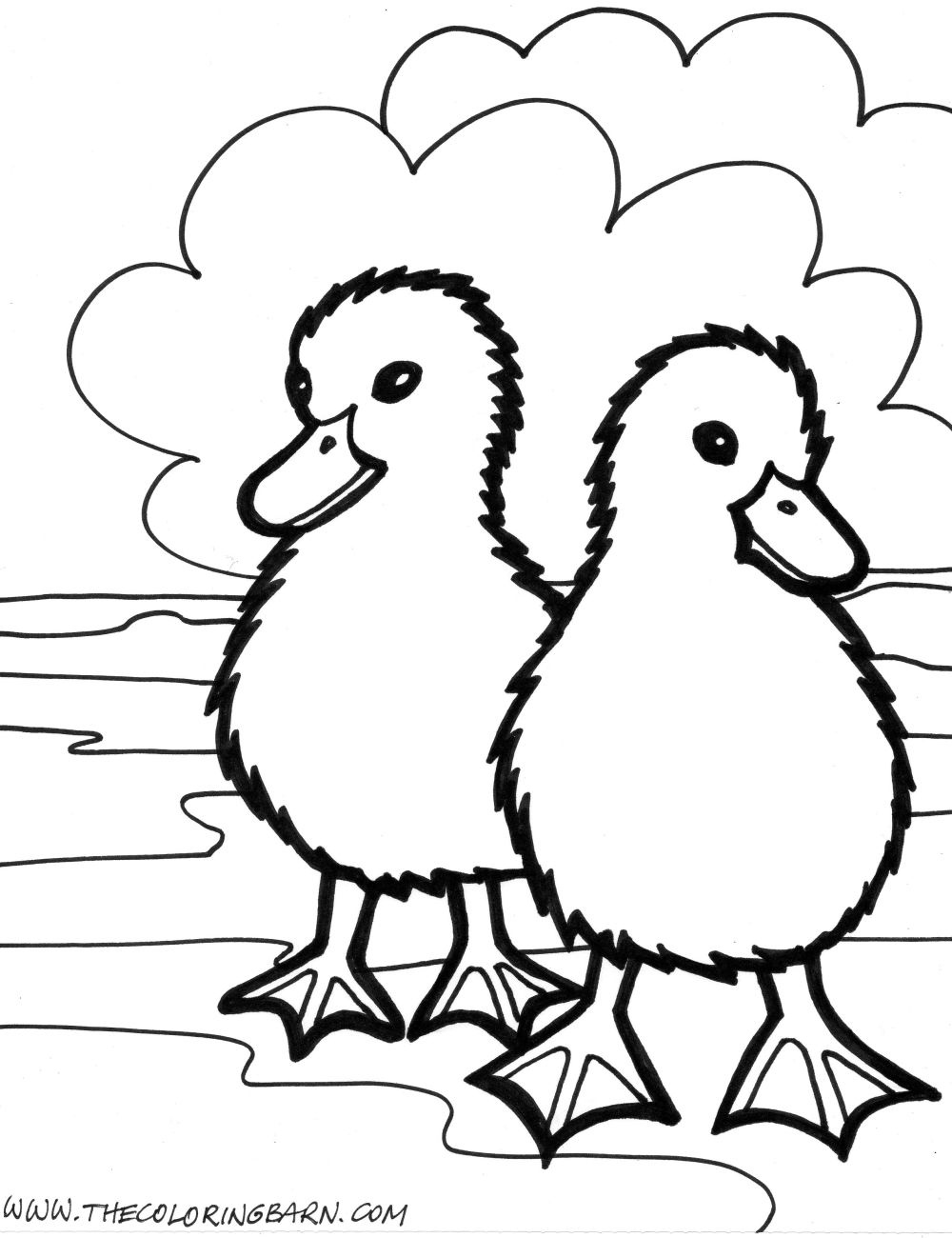 Coloring Animal Printable