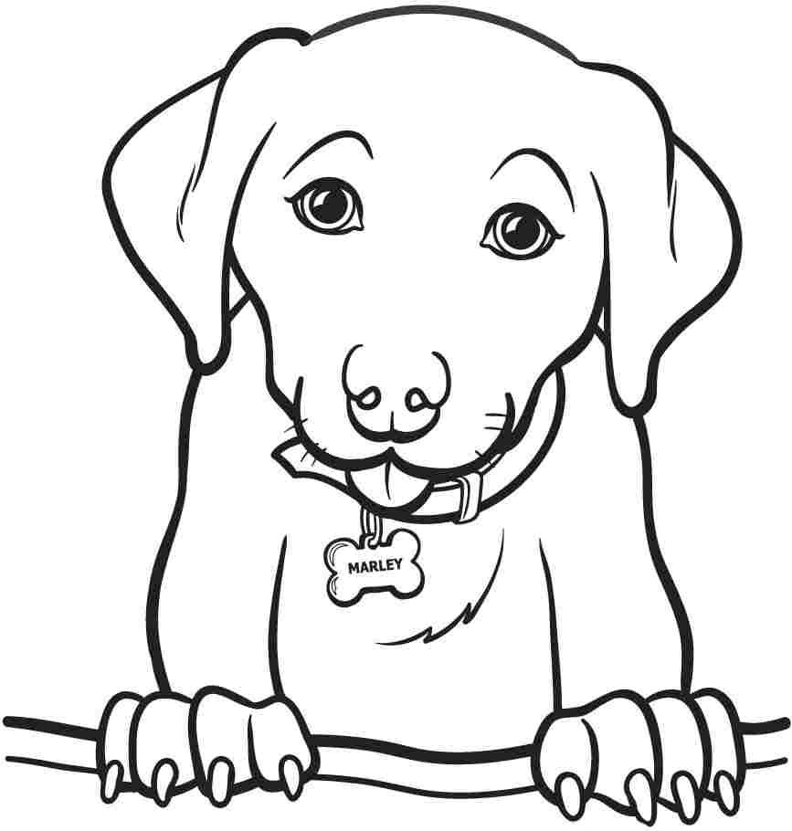 Coloring Books Animals For Kids Coloring Pages