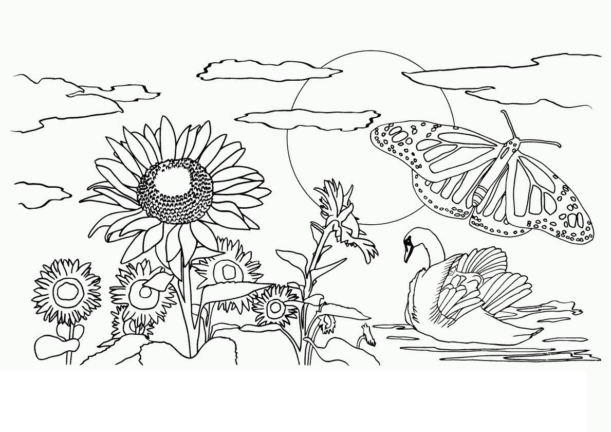 printable nature coloring pages