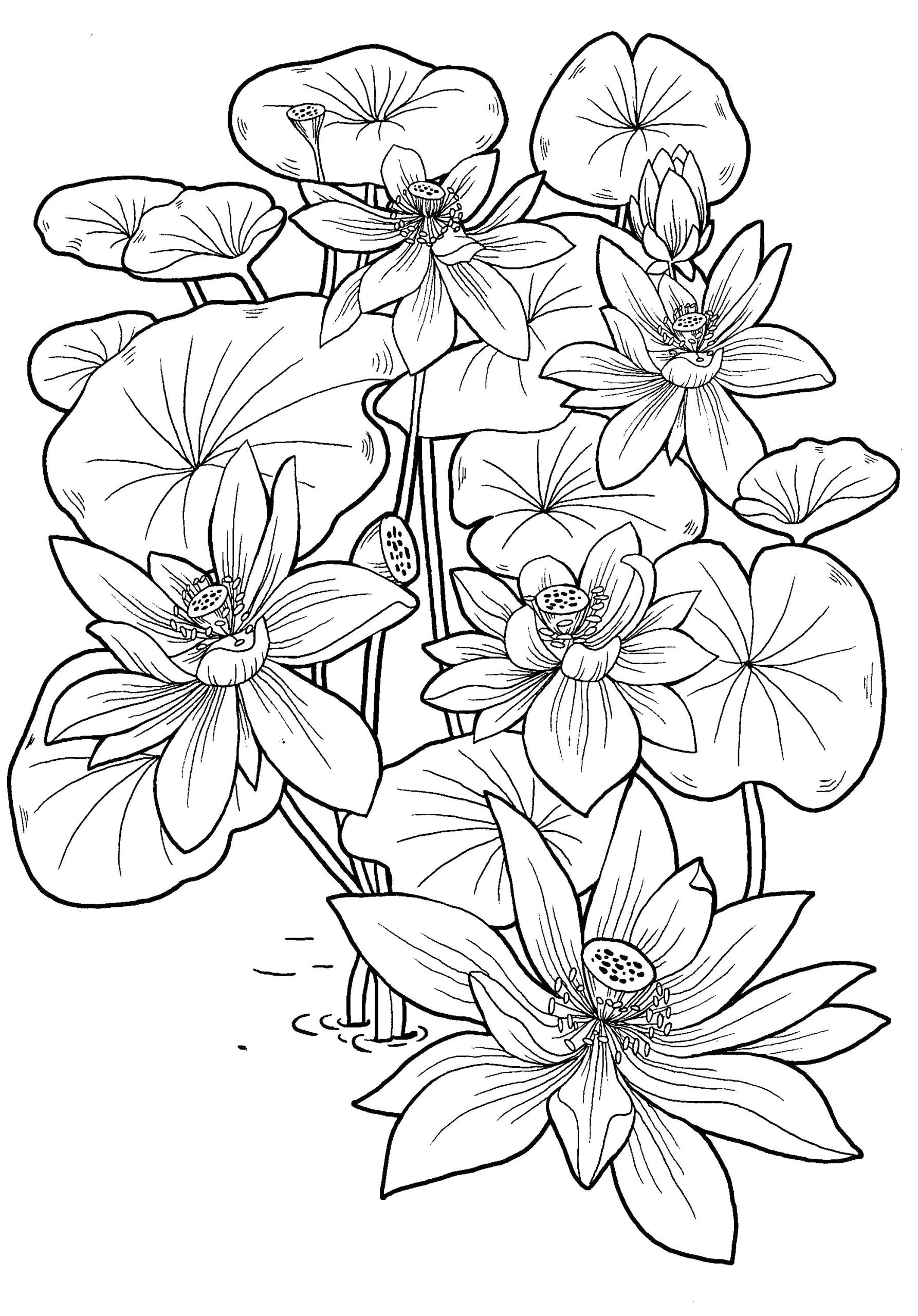 Coloring Pages For Girls 10 Years Old Coloring Pages For Girls 10 And 