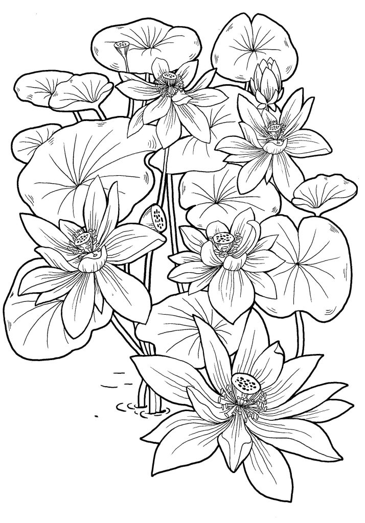 Coloring Pages For Girls 10 Years Old Coloring Pages For Girls 10 And