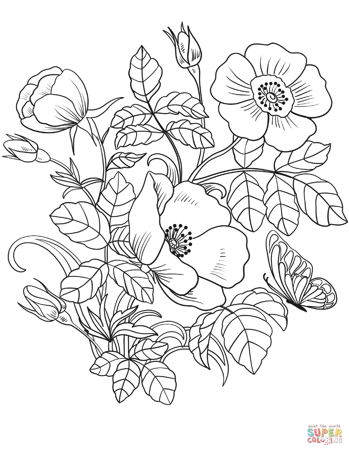 printable coloring flowers