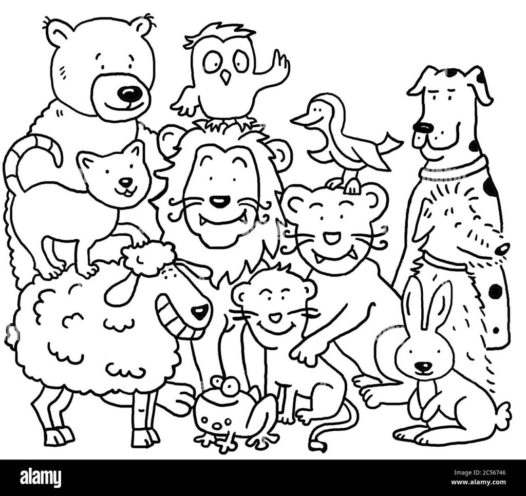 Coloring Picture Different Animals Stock Photo Alamy