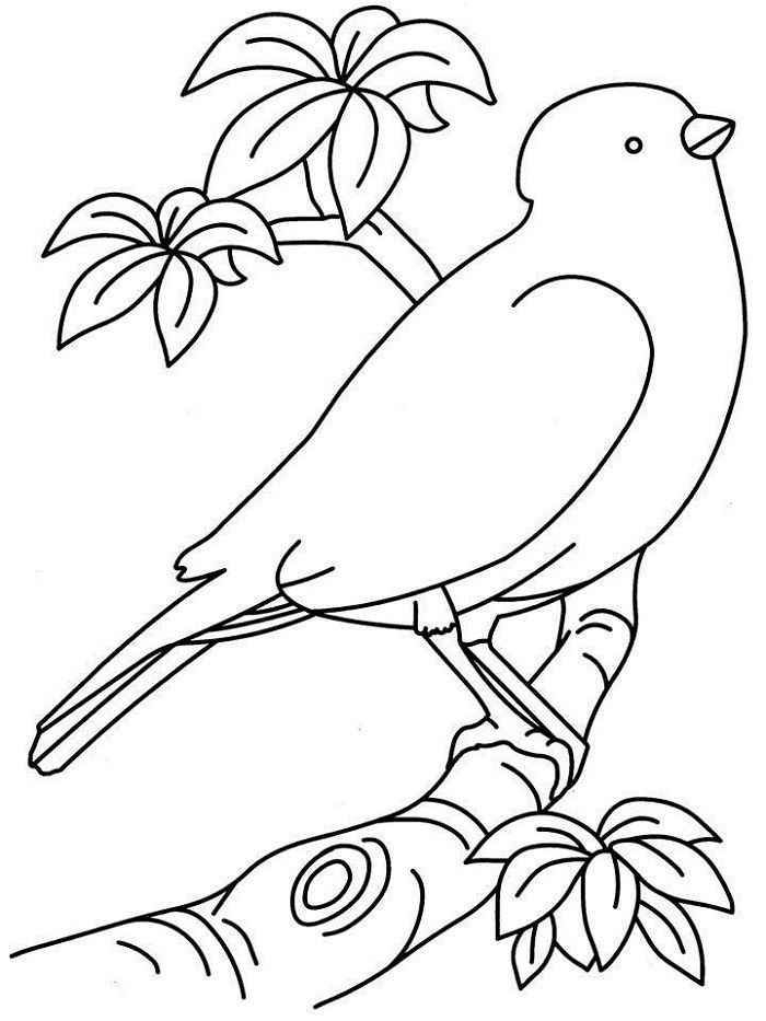 Colouring Pictures For Adults With Dementia Askworksheet