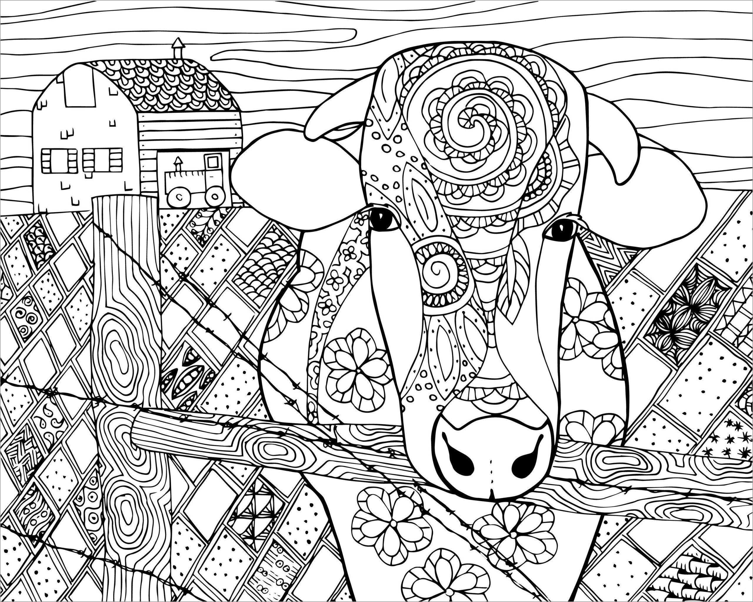 printable coloring pages cow