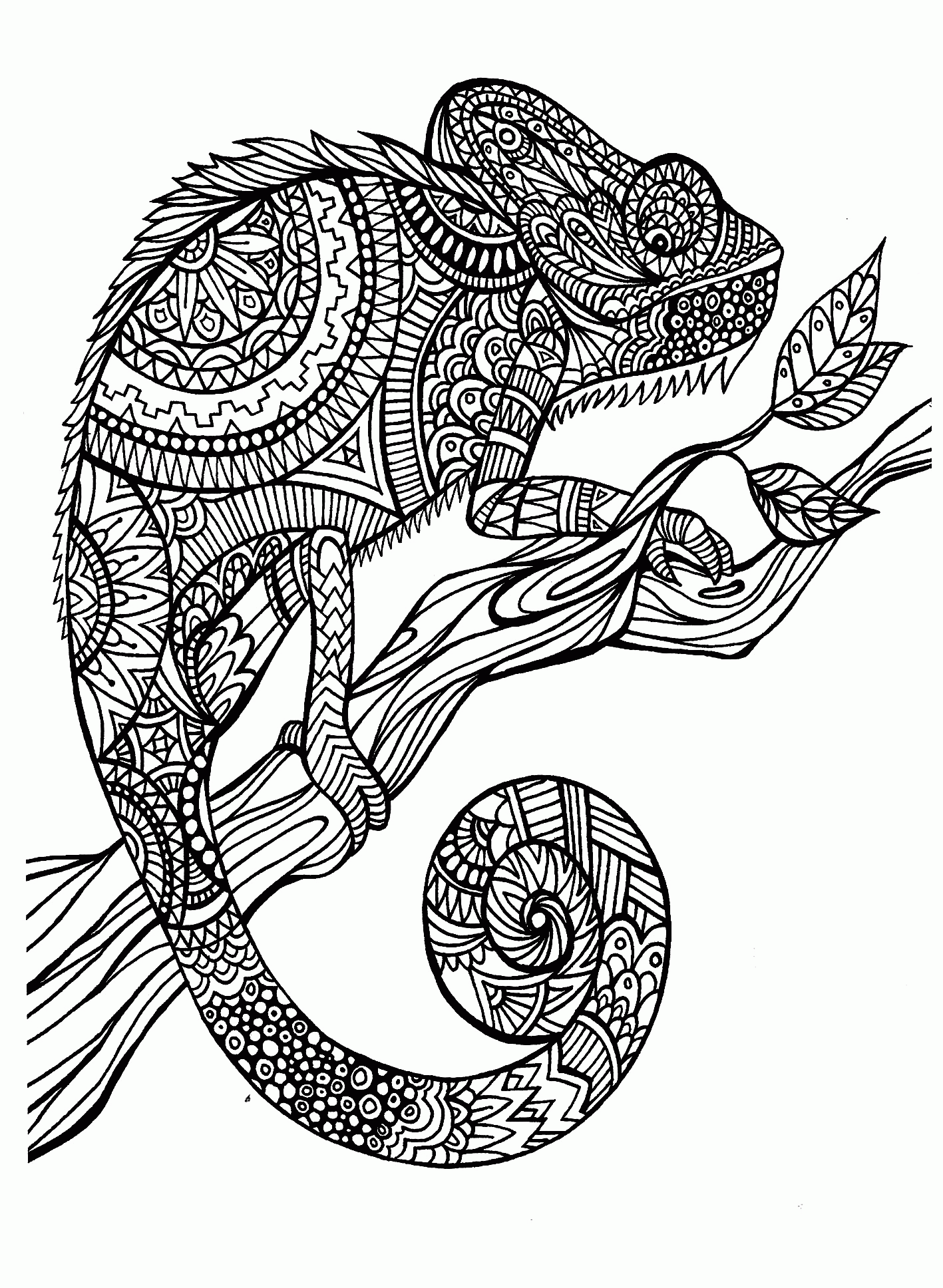 animal coloring sheets hard