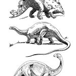 Dinosaur Colouring Pages In The Playroom