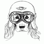 Dog Coloring Book For Adults COLORING PAGES PRINTABLE COM