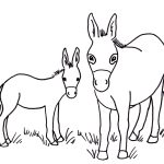 Donkey Printable Printable Word Searches