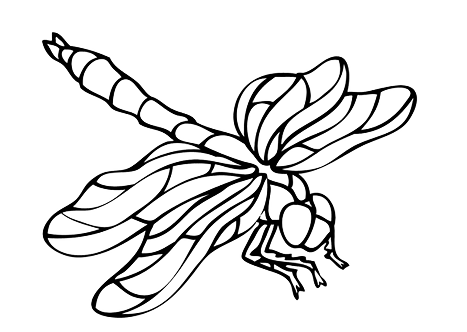 printable coloring pages insects