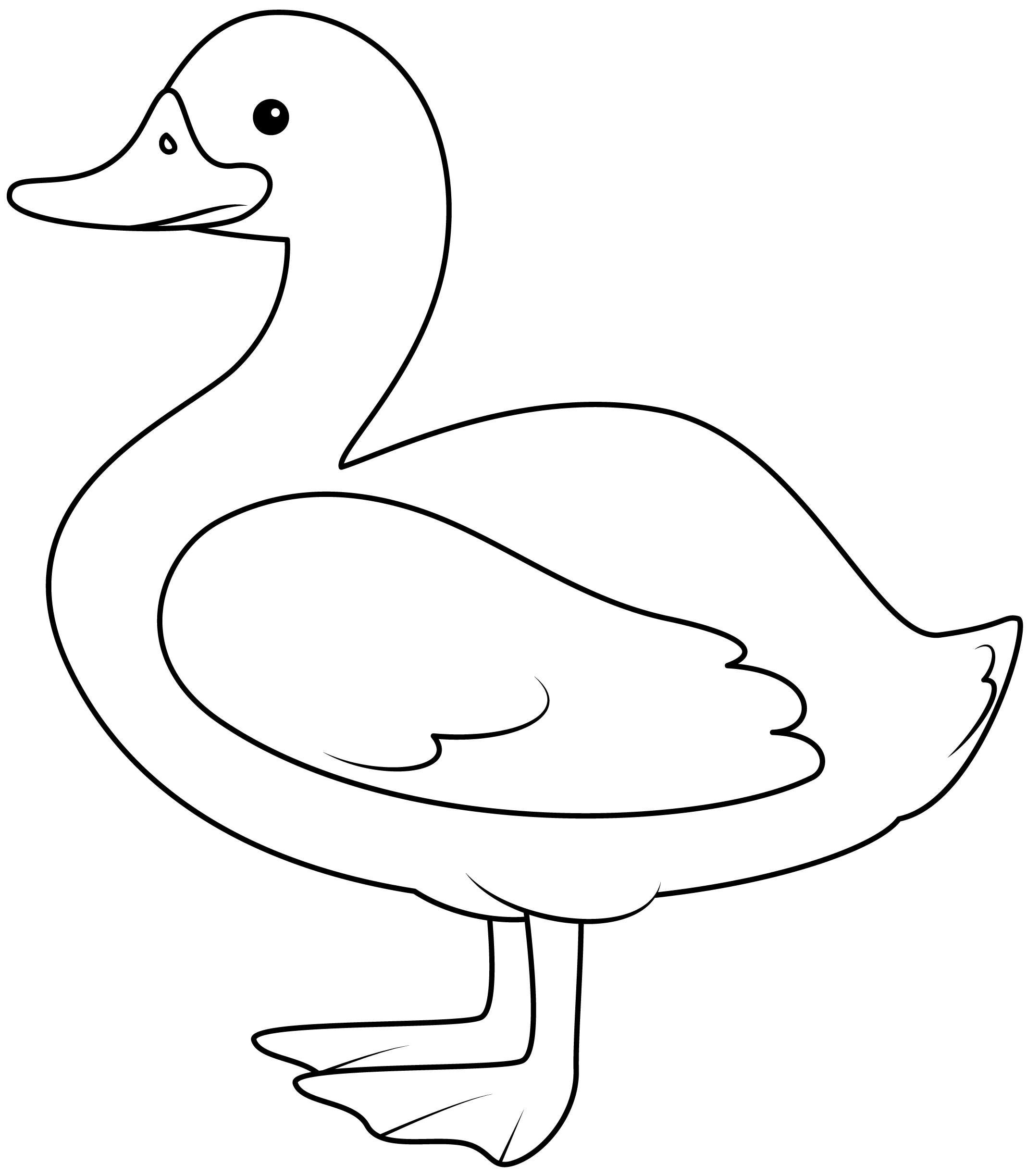 printable duck picture