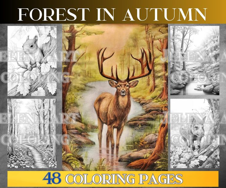 Fall Coloring Book Adult Forest In The Fall 48 Grayscale Coloring 