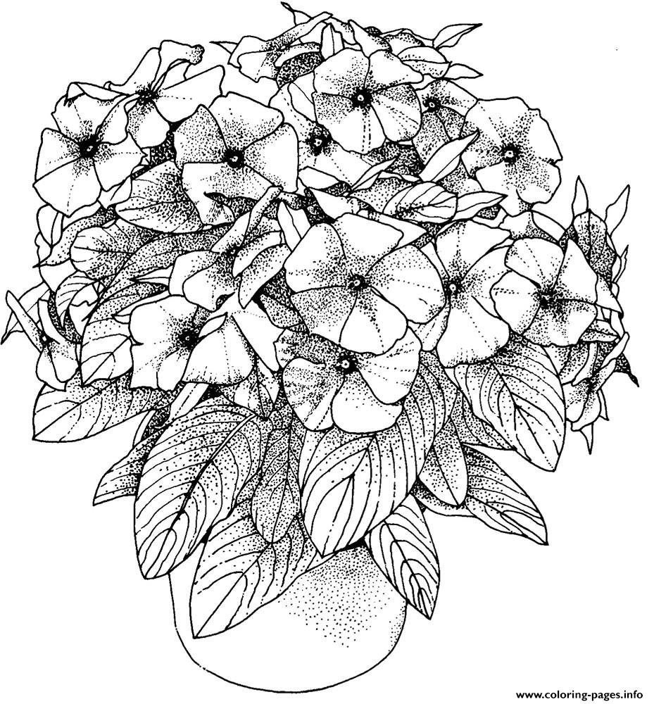 printable coloring pages for adults flowers printable coloring pages for adults flowers