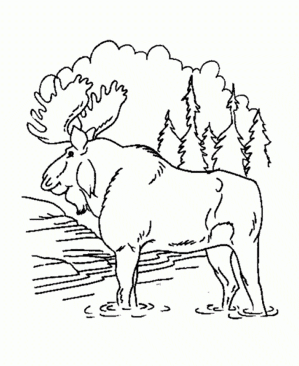 Forest Coloring Pages Printable Coloring Home