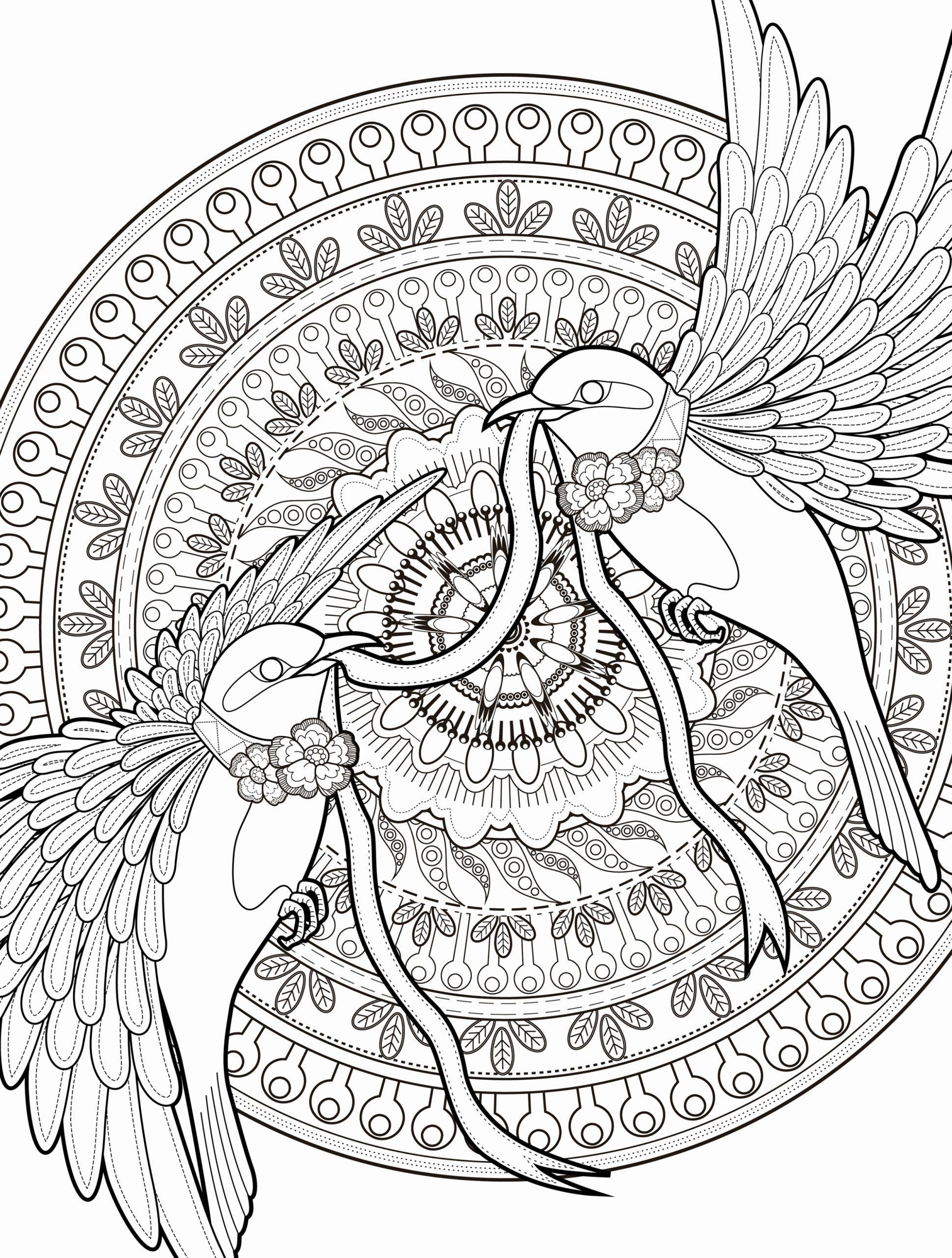 Free Adult Coloring Pages Pdf At GetDrawings Free Download