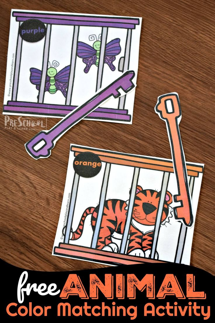 FREE Animal Color Matching Activity Is Such A Cute Math Activity For 