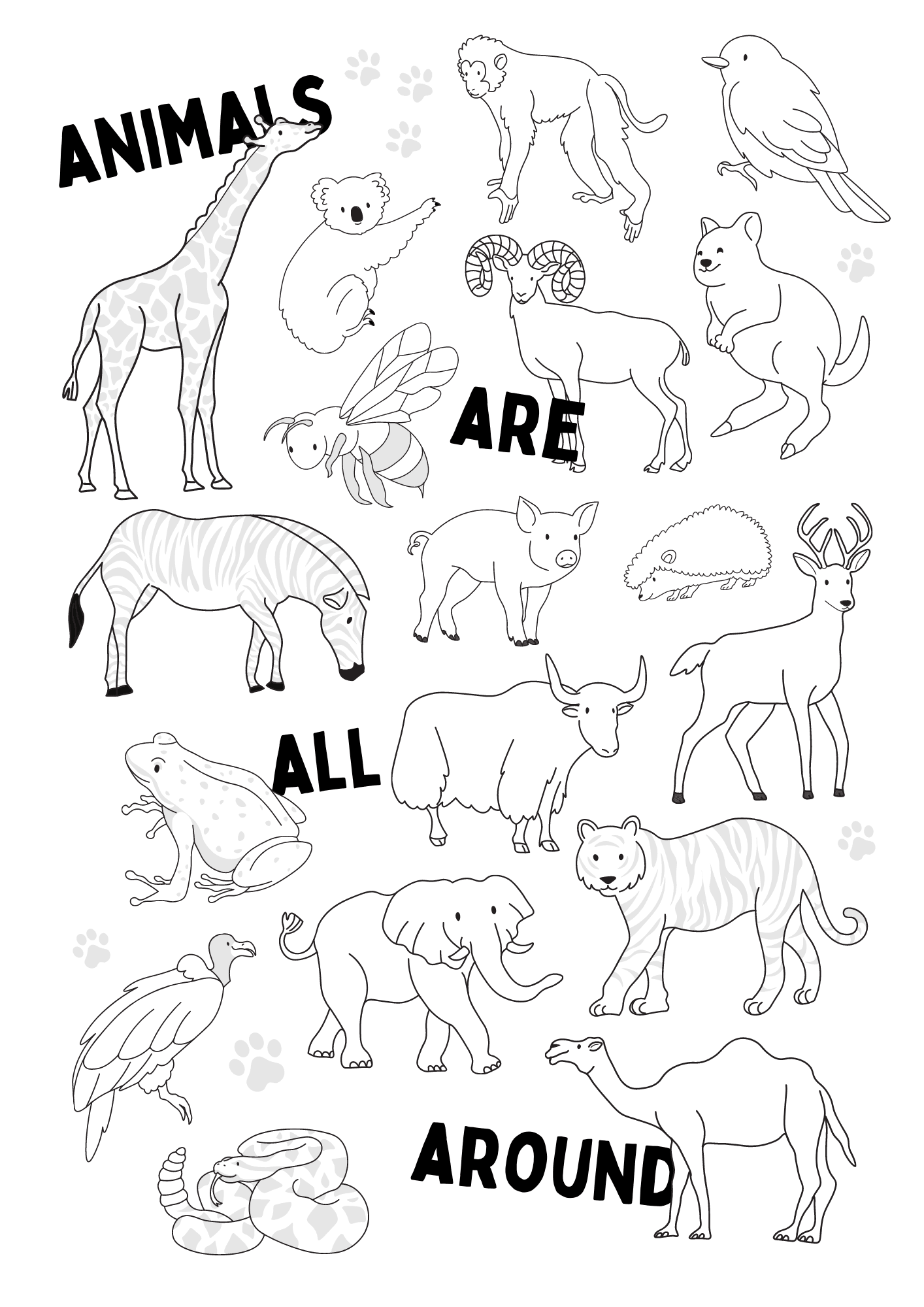 coloring different animals coloring different animals
