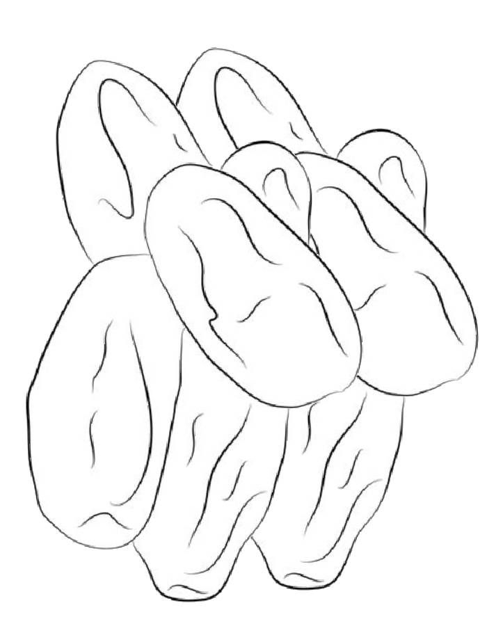 Free Fruit Coloring Pages For Kids PDF Printable Sheets Coloringus 