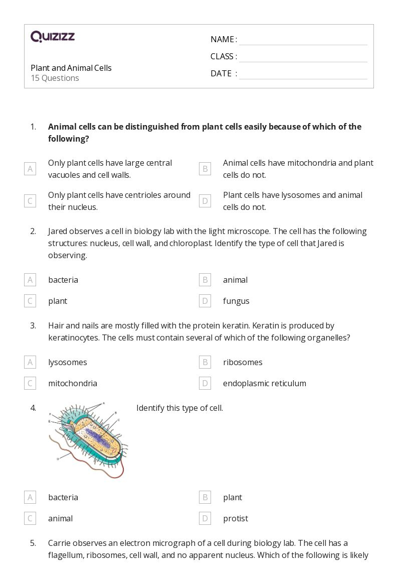 Free Plant And Animal Cell Worksheet Download Free Plant And Animal 