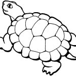 Free Printable ANimal quot Turtle quot Coloring Pages