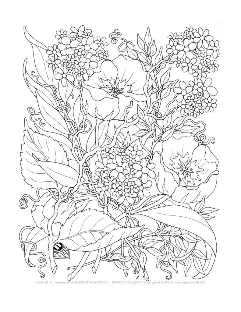 Free Printable Coloring Pages Adults Only Coloring Home