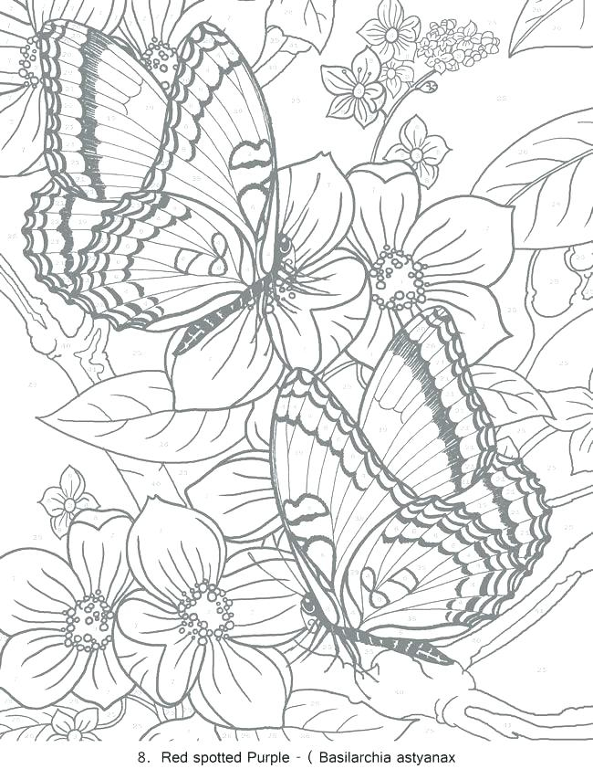 Free Printable Coloring Pages For Adults Pdf At GetDrawings Free Download