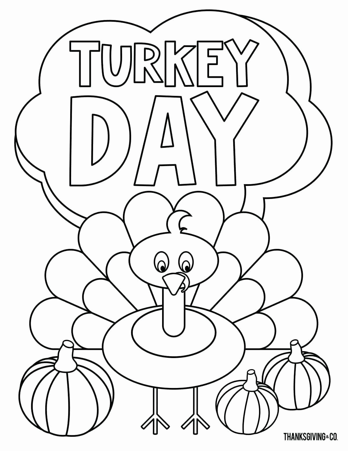Free Printable Coloring Pages For Elementary Students 5 Fun Filled 