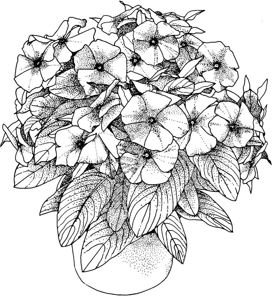 Free Printable Coloring Pages For Victorious Coloring Home