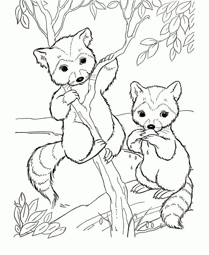 Free Printable Coloring Pages Of Animals Coloring Home