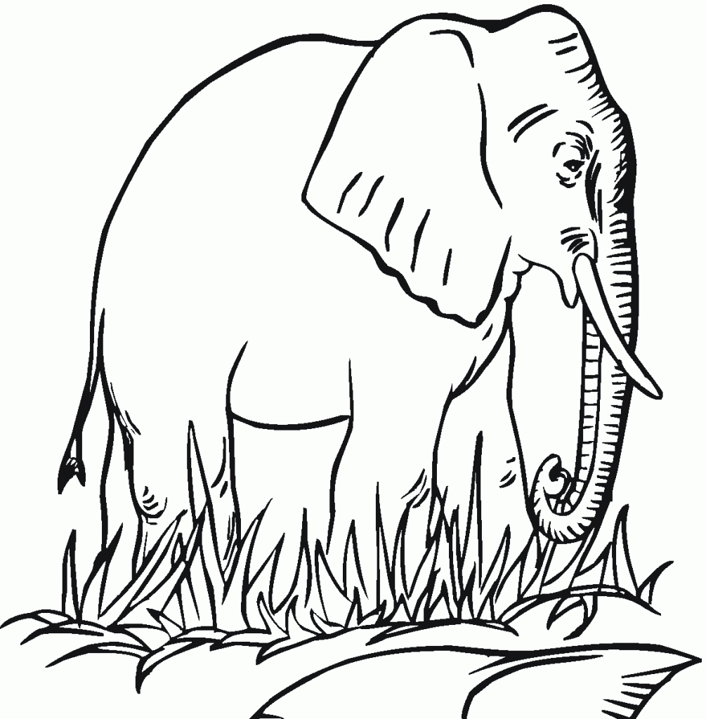 printable coloring pages elephant