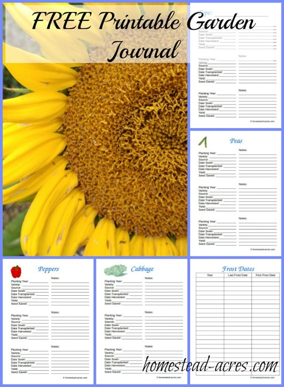 printable garden picture