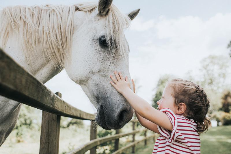 Free Printable Horse Activities Worksheets For All Ages LoveToKnow Pets