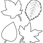 Free Printable Leaf Template