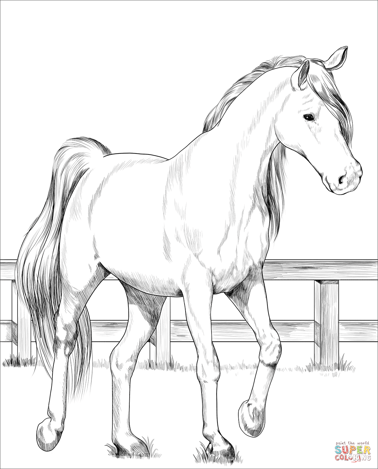 Free Printable Realistic Horse Coloring Pages Printable Blog