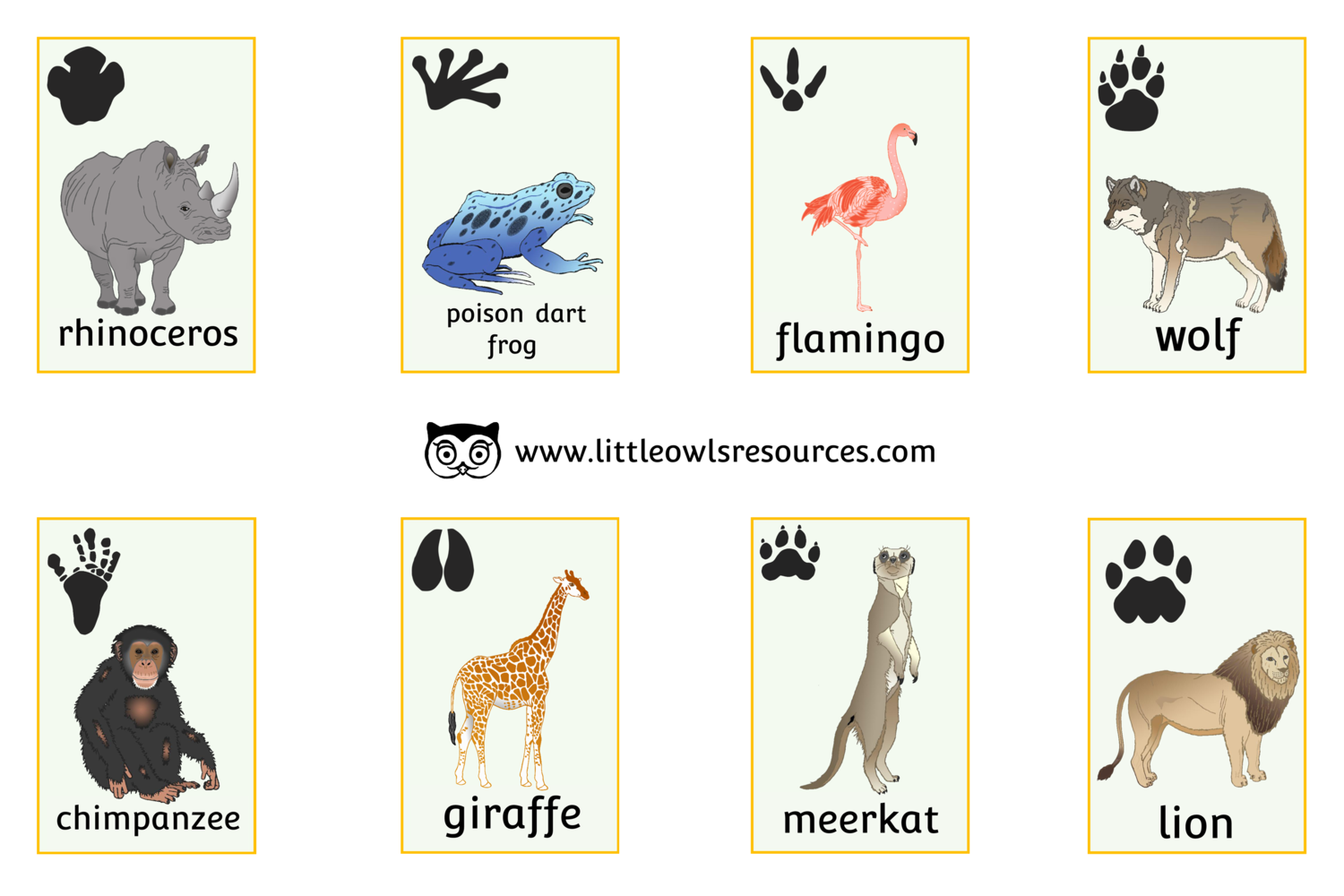 FREE Zoo Animal Snap Cards Printable Early Years EY EYFS Resource 