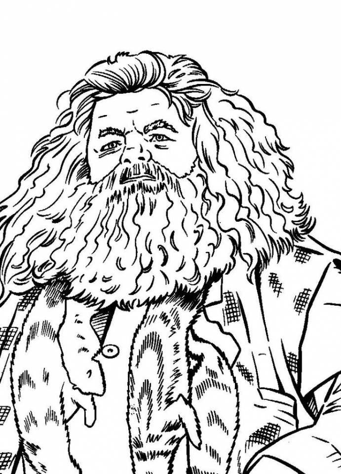 Get This Harry Potter Coloring Pages For Adults 05619