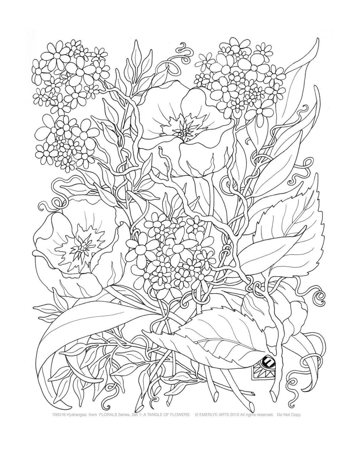 printable coloring pages for adults spring