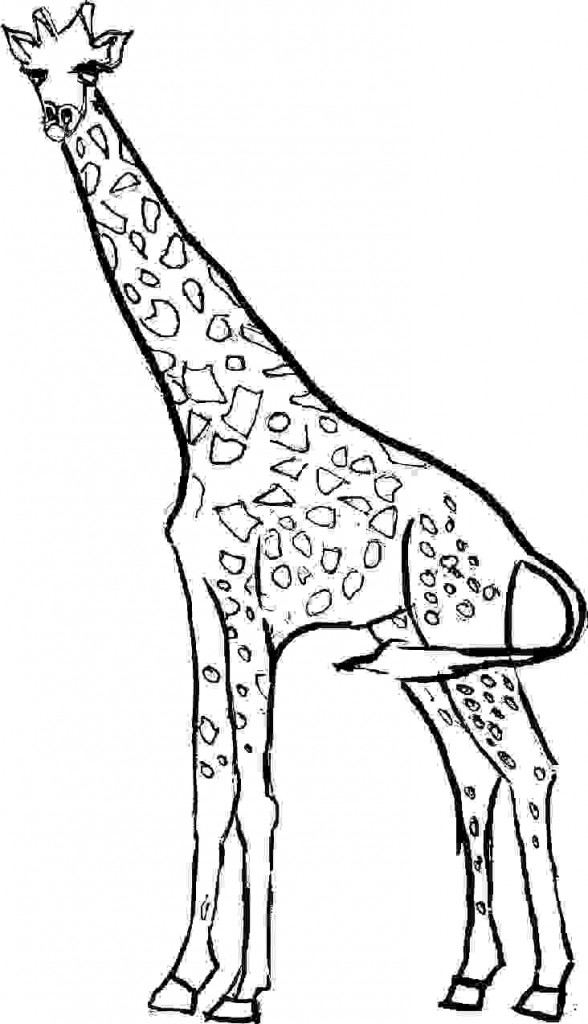 Giraffe Coloring Pages Printable