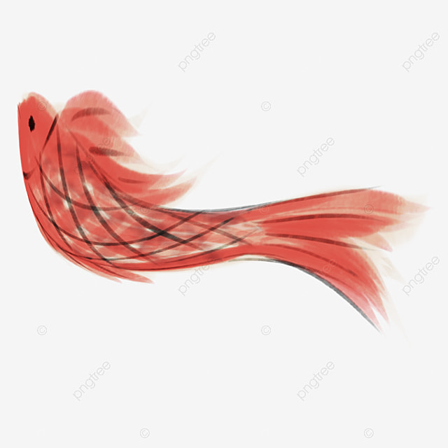 Hand Painted Animals PNG Image Color Animal Cartoon Hand Painted Koi 