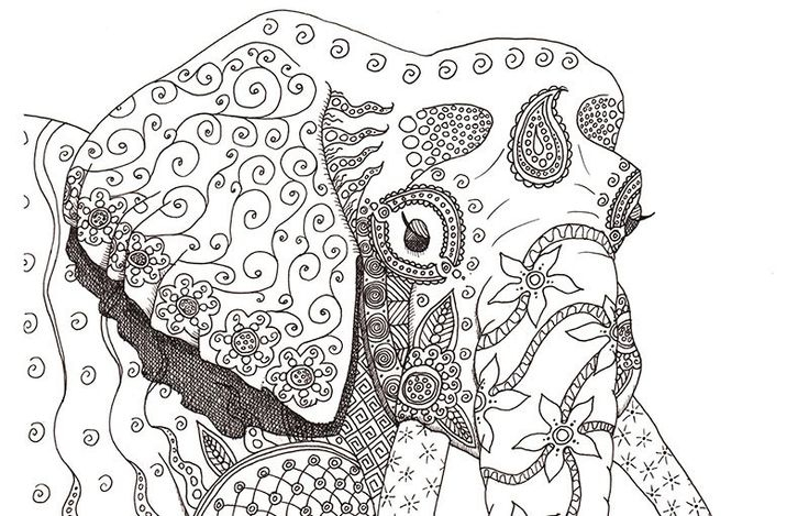 animal coloring hard animal coloring hard