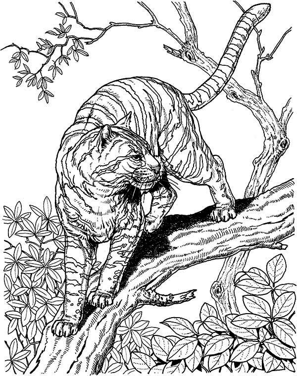 Hard Animal Coloring Pictures