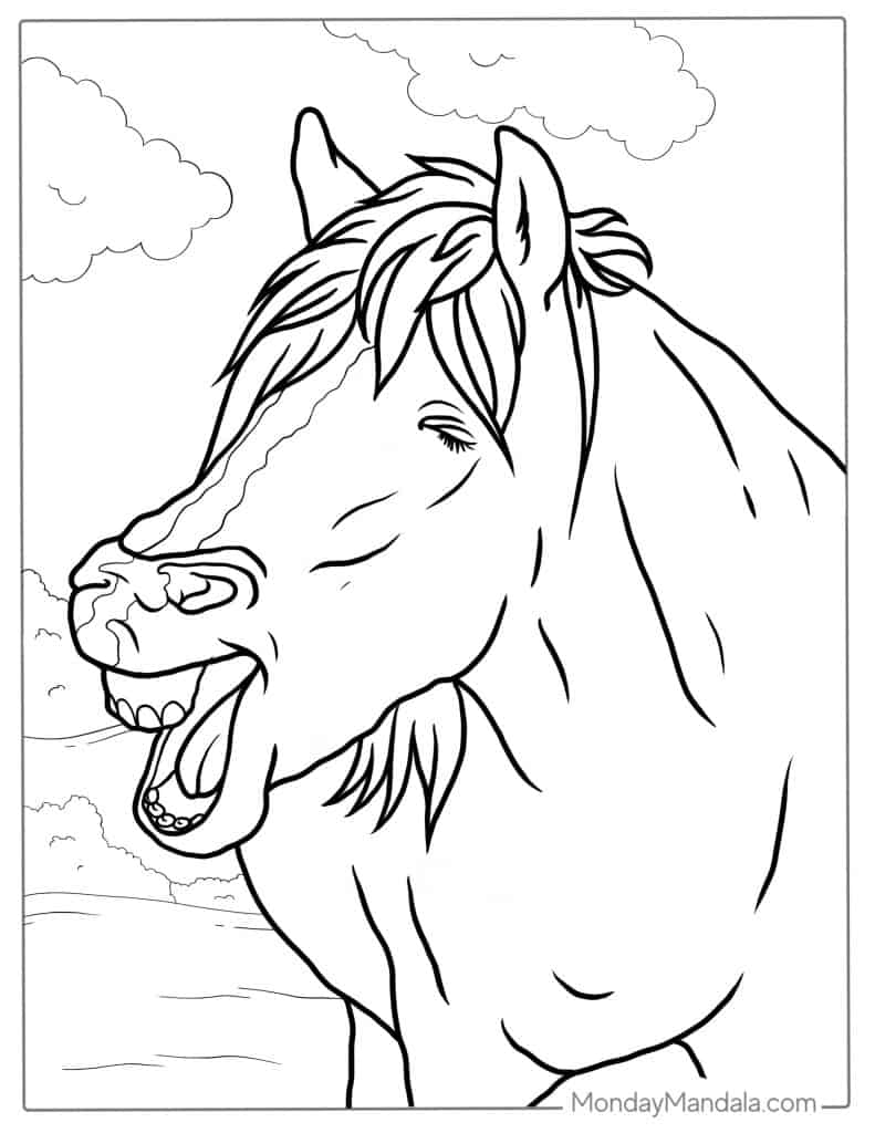 Horse Head Coloring Pages Printable Pdf Infoupdate