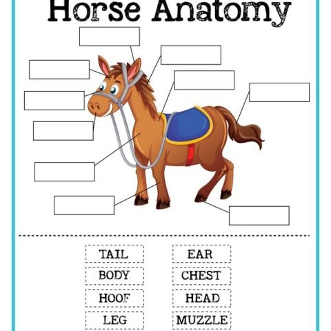 Horse Printable Activities Share Remember Celebrating Child Home